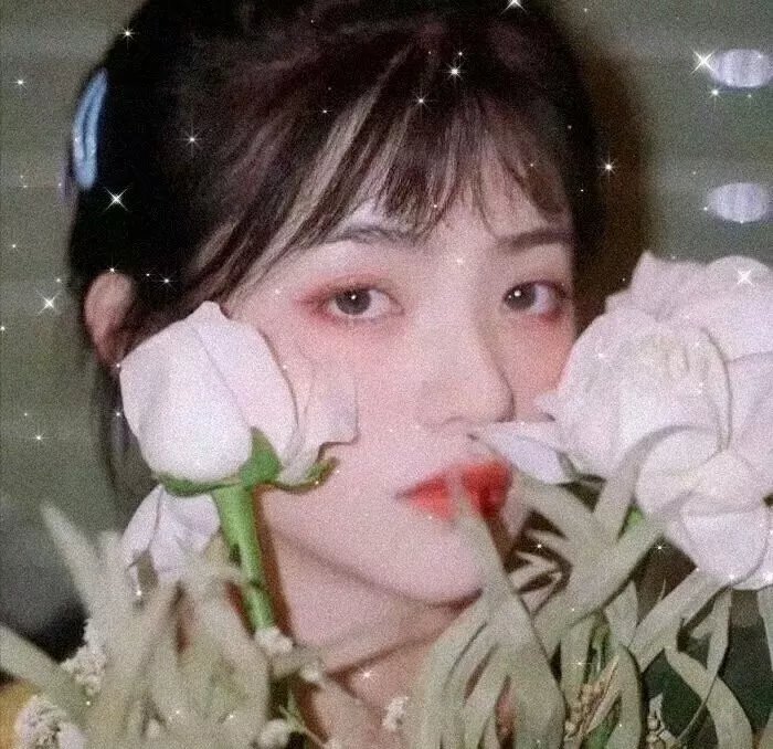 伊波拉病毒